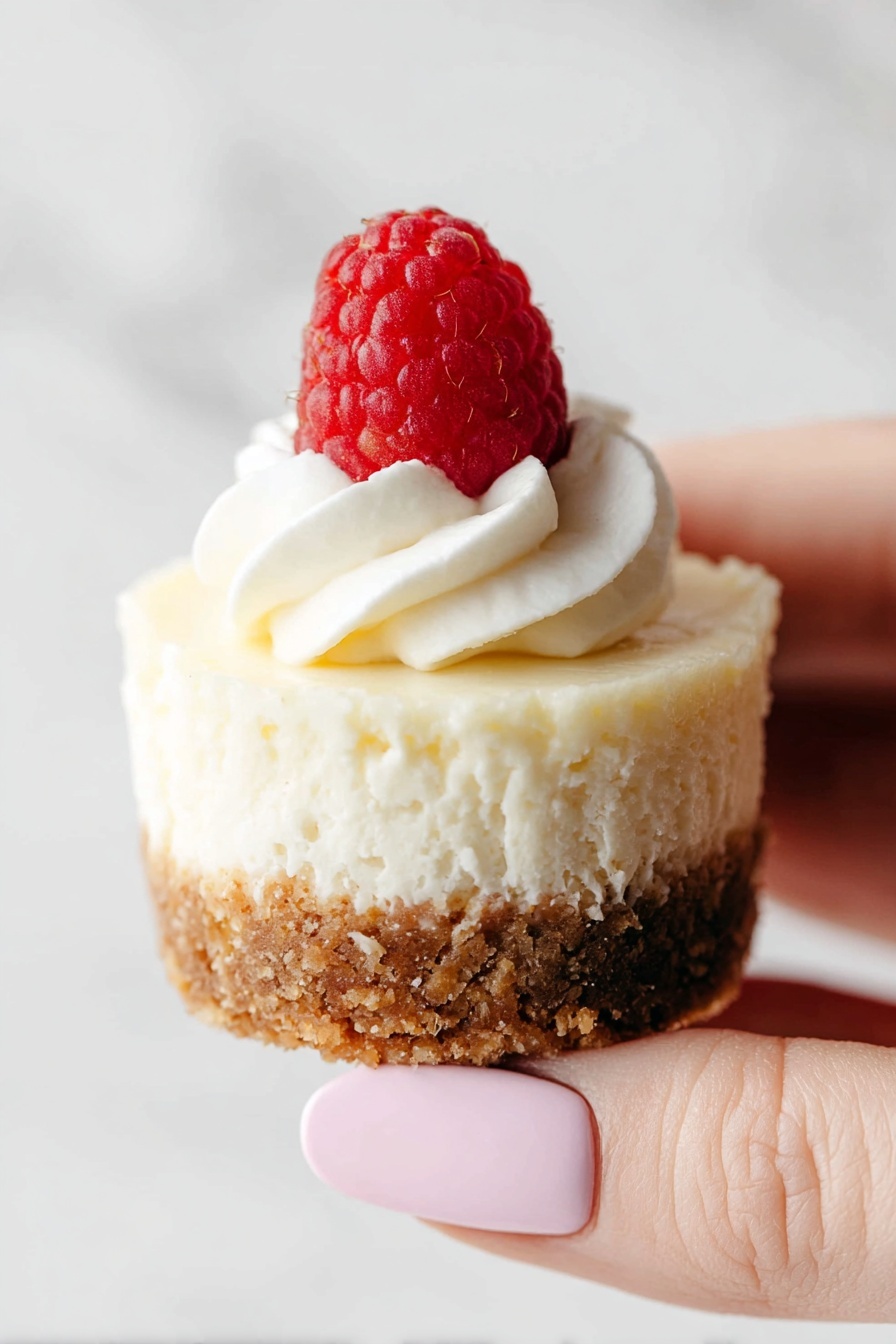 Mini Cheesecake Bites, Mini Cheesecake Bites Recipe, Easy Cheesecake Bites, No-Bake Cheesecake Bites, Party Dessert Ideas - Mini cheesecakes are shown from above, arranged on a white marbled surface. Each cheesecake has three layers: a light beige crust at the bottom with a slightly rough texture, a thick smooth creamy white middle layer, and a top layer of white whipped cream swirled in a circular pattern. A single fresh bright red raspberry with detailed texture sits on top of the whipped cream of each cheesecake. Several loose raspberries are scattered around the cheesecakes, adding pops of red color to the scene. The photo taken with an iphone --ar 2:3 --v 7